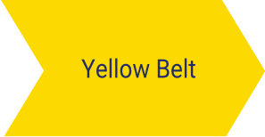 Szkolenie Six Sigma Yellow Belt