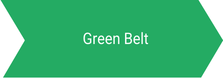 Six Sigma Green Belt