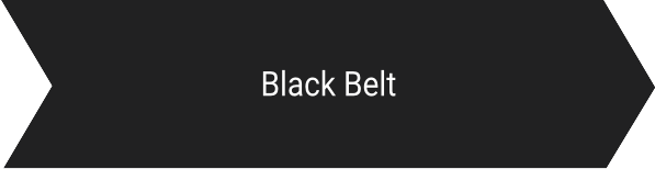 Six Sigma Black Belt