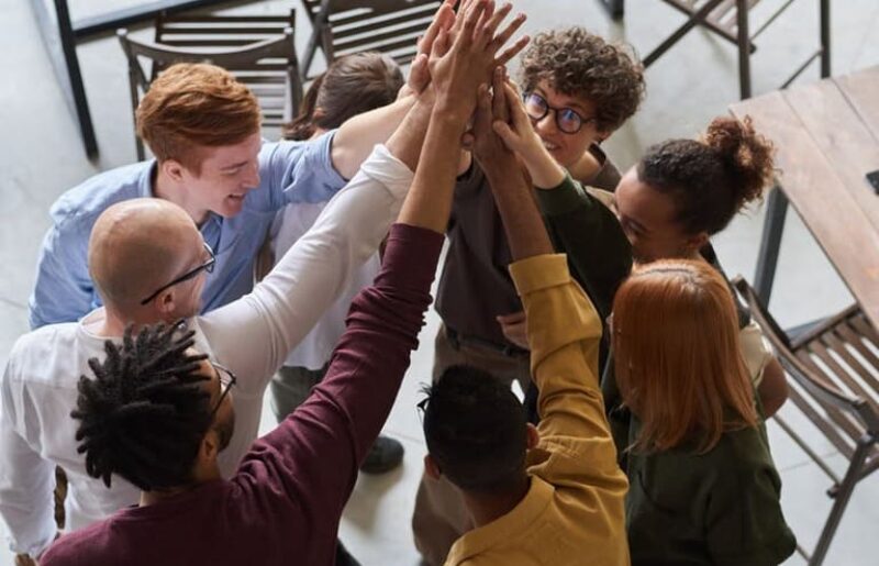 Audyt kultury organizacyjnej Lynsky Solutions