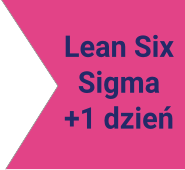 Lean Six Sigma