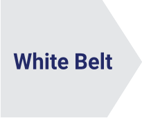 White Belt Lynsky Solutions