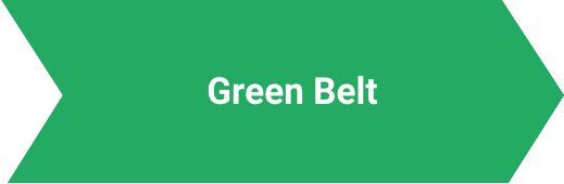 Green Belt Lynsky Solutions
