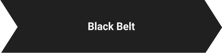 Black Belt Lynsky Solutions
