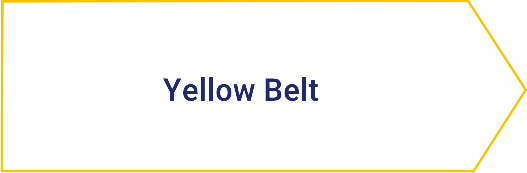 Yellow Belt szkolenie Lynsky Solutions