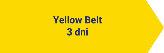Yellow Belt