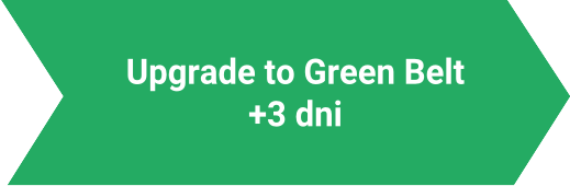 Upgrade to Green Belt Lynsky Solutions