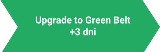 Upgrade to Green Belt Lynsky Solutions
