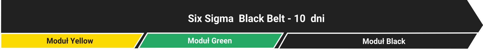 Six Sigma Black Belt szkolenie Lynsky Solutions
