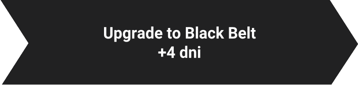 Upgrade to Black Belt Lynsky Solutions