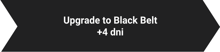 Upgrade to Black Belt Lynsky Solutions
