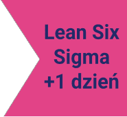 Lean Six Sigma