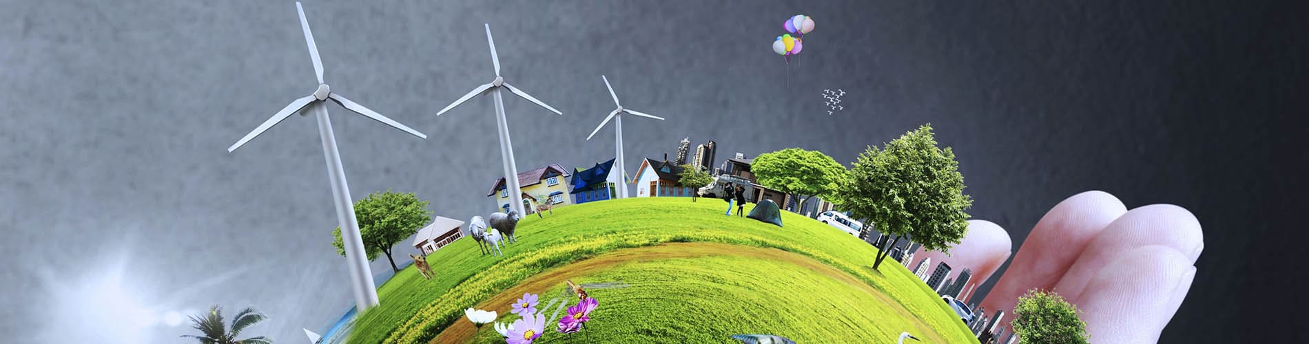 single trainning banner