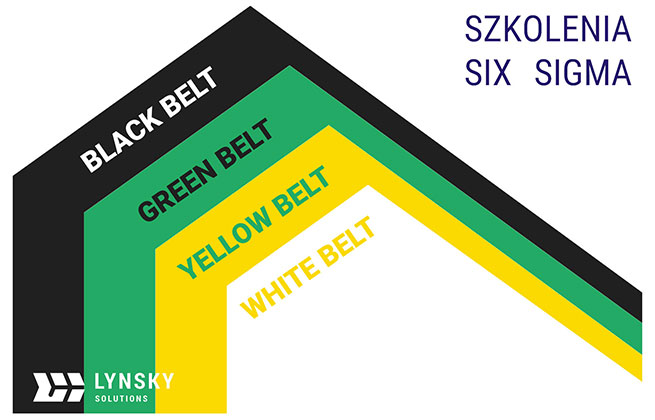 Lean Six Sigma Lynsky Solutions