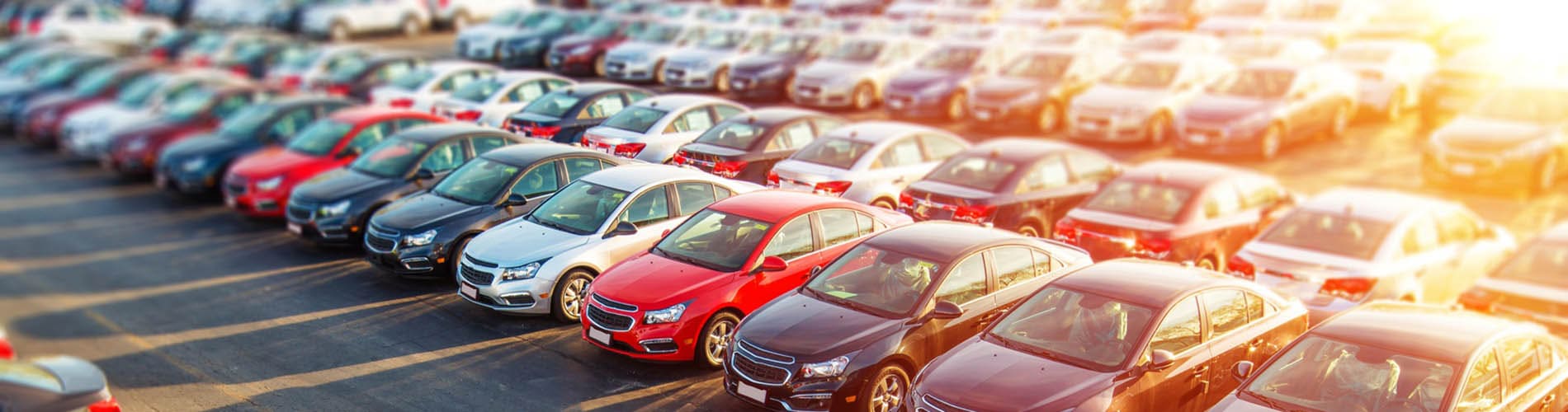 single trainning banner