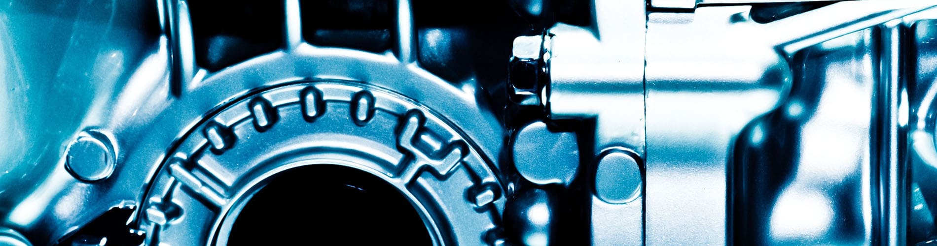 single trainning banner