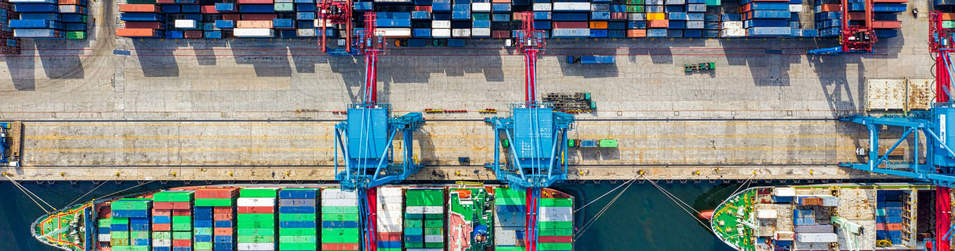 single trainning banner