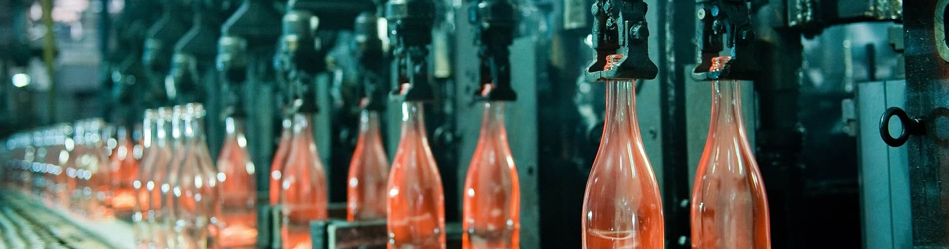 single trainning banner