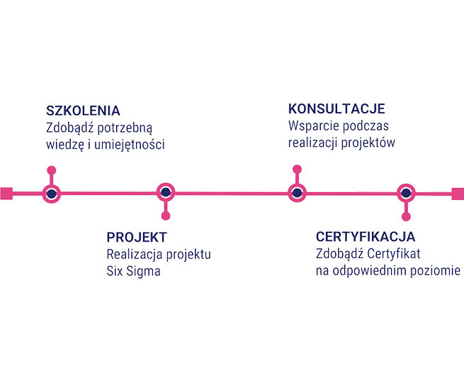 Wdrozenie Six Sigma Lynsky Solutions