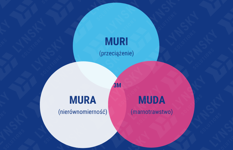 3M-muri-mura-muda-lynsky-solutions_