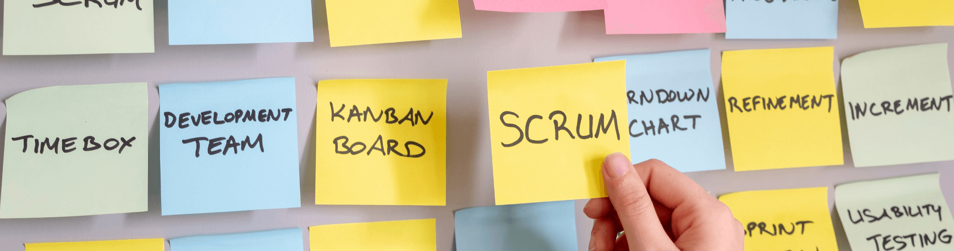 single trainning banner