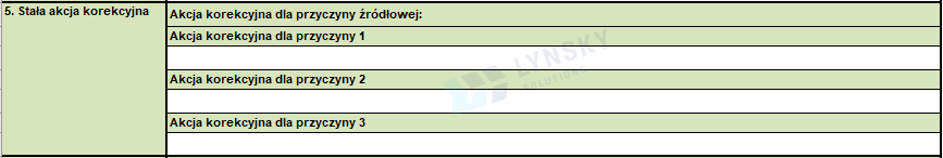raport 8D akcja korekcyjna Lynsky Solutions