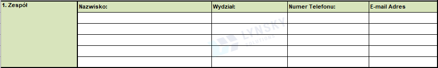 raport 8D opis problemu Lynsky Solutions