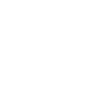 systemy_zarządzania